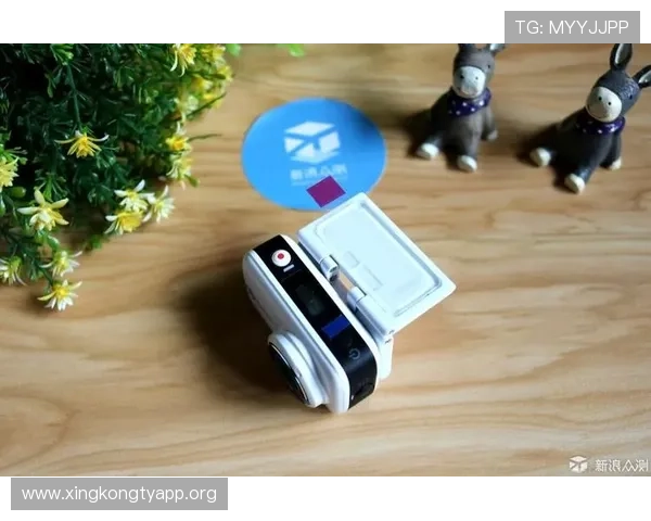 欧博信手机的拍照技术与多功能相机系统详细体验报告